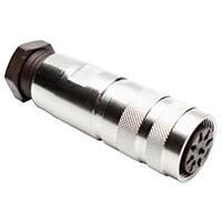 C091 31D008 101 2圖片