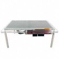 YGRPEACHLCDSHIELD圖片