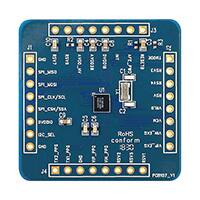 EVB_RT1025WS_D0圖片